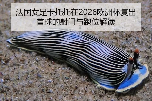 法国女足卡托托在2026欧洲杯复出首球的射门与跑位解读